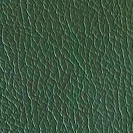 Ādas paraugs tumši zaļš 2025