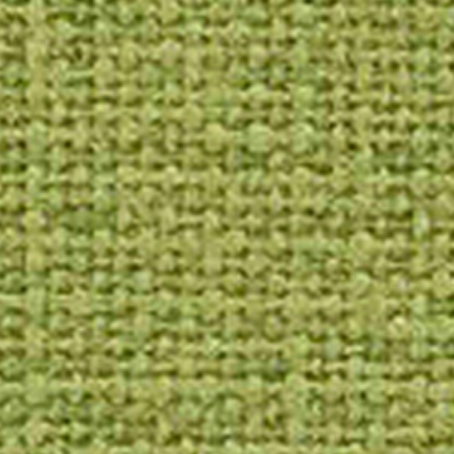 Canvas gaiši zaļš